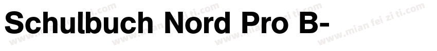 Schulbuch Nord Pro B字体转换